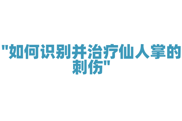 "如何识别并治疗仙人掌的刺伤"